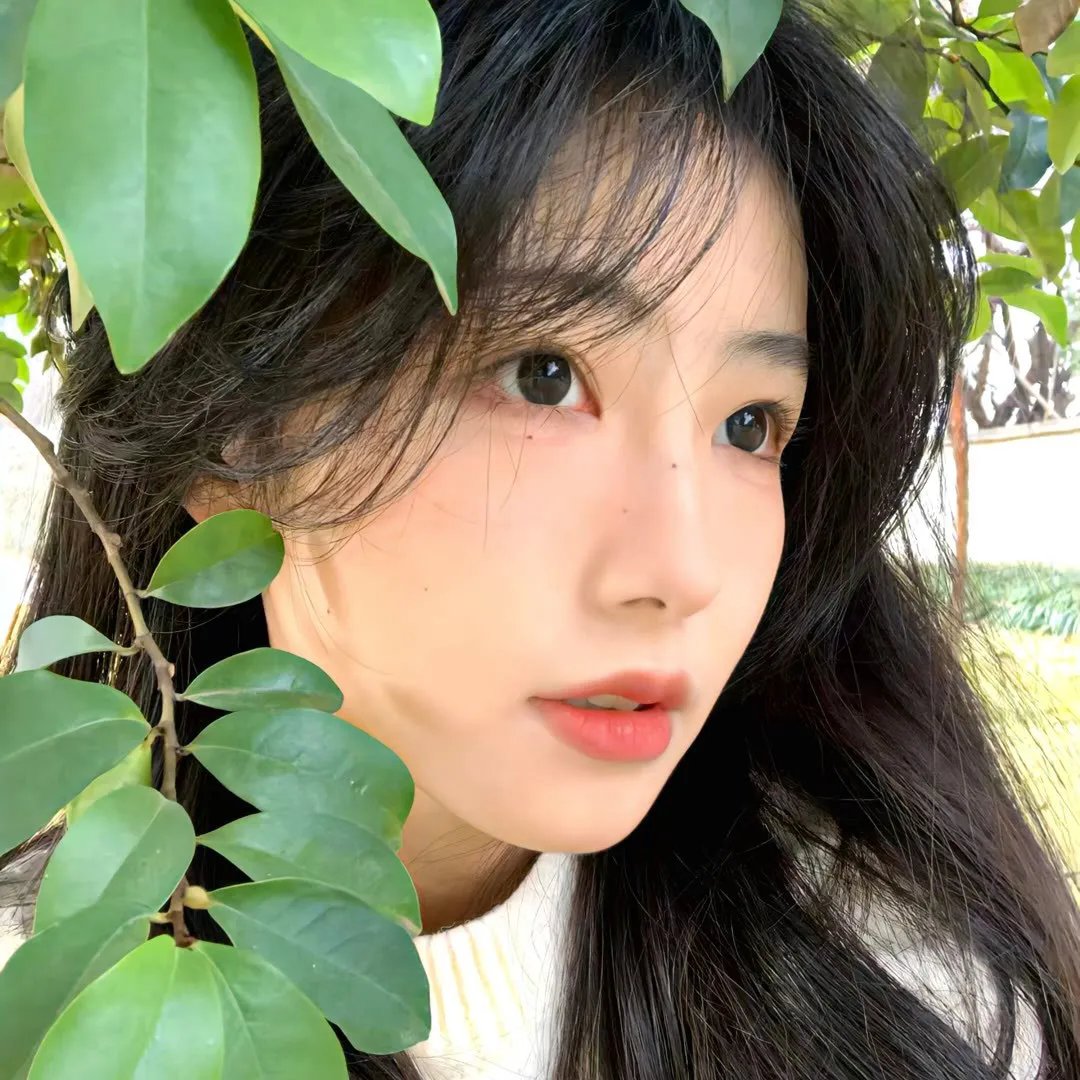 多梦女孩