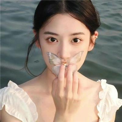 永春白鹤拳之擎天画卷